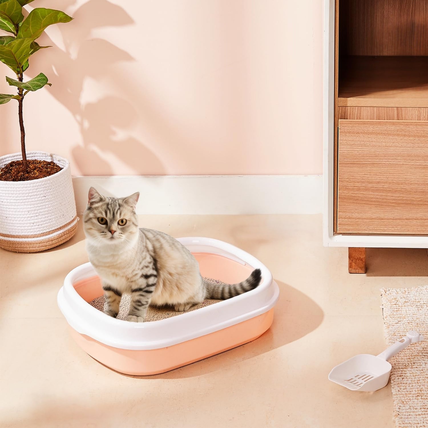 Litter Trays & Scoopers