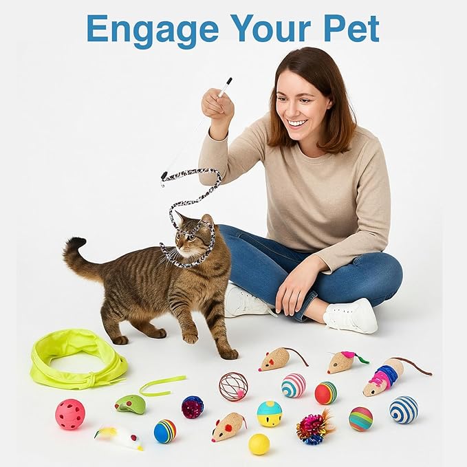 Cat Toys