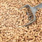 Pine Cat Litter