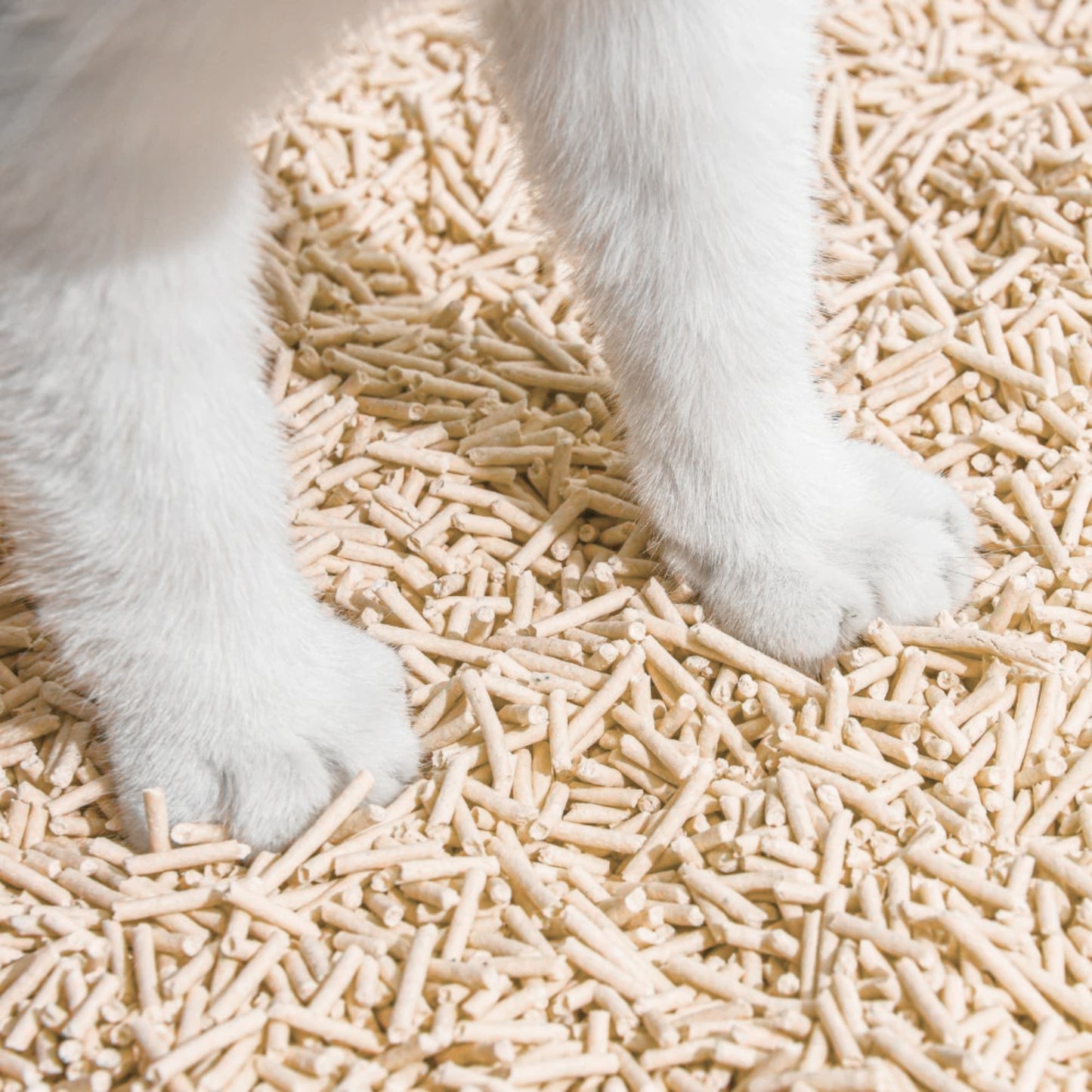 Natural Tofu Cat Litter 25Kg