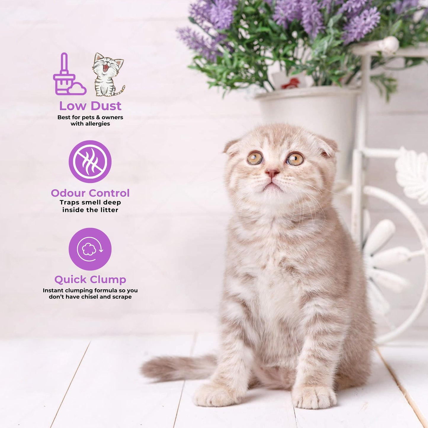 Pet Perfect Premium Granuler Bentonite Cat Litter Levender-5L