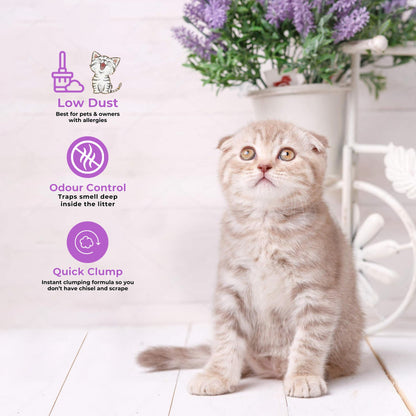 Pet Perfect Premium Granuler Bentonite Cat Litter Levender-5L