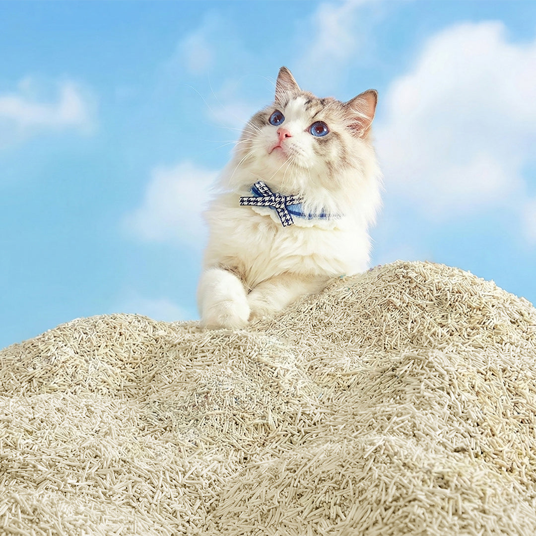 Natural Tofu Cat Litter 25Kg